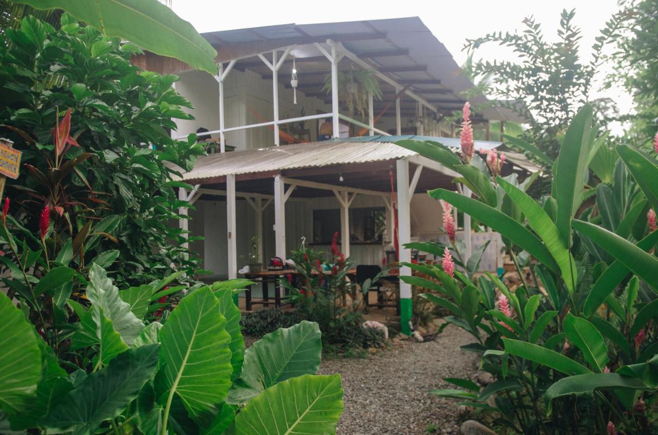 Casa Bohoe Puerto Viejo de Talamanca Eksteriør bilde
