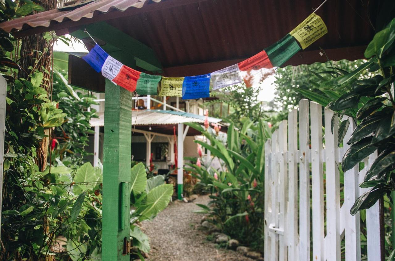 Casa Bohoe Puerto Viejo de Talamanca Eksteriør bilde