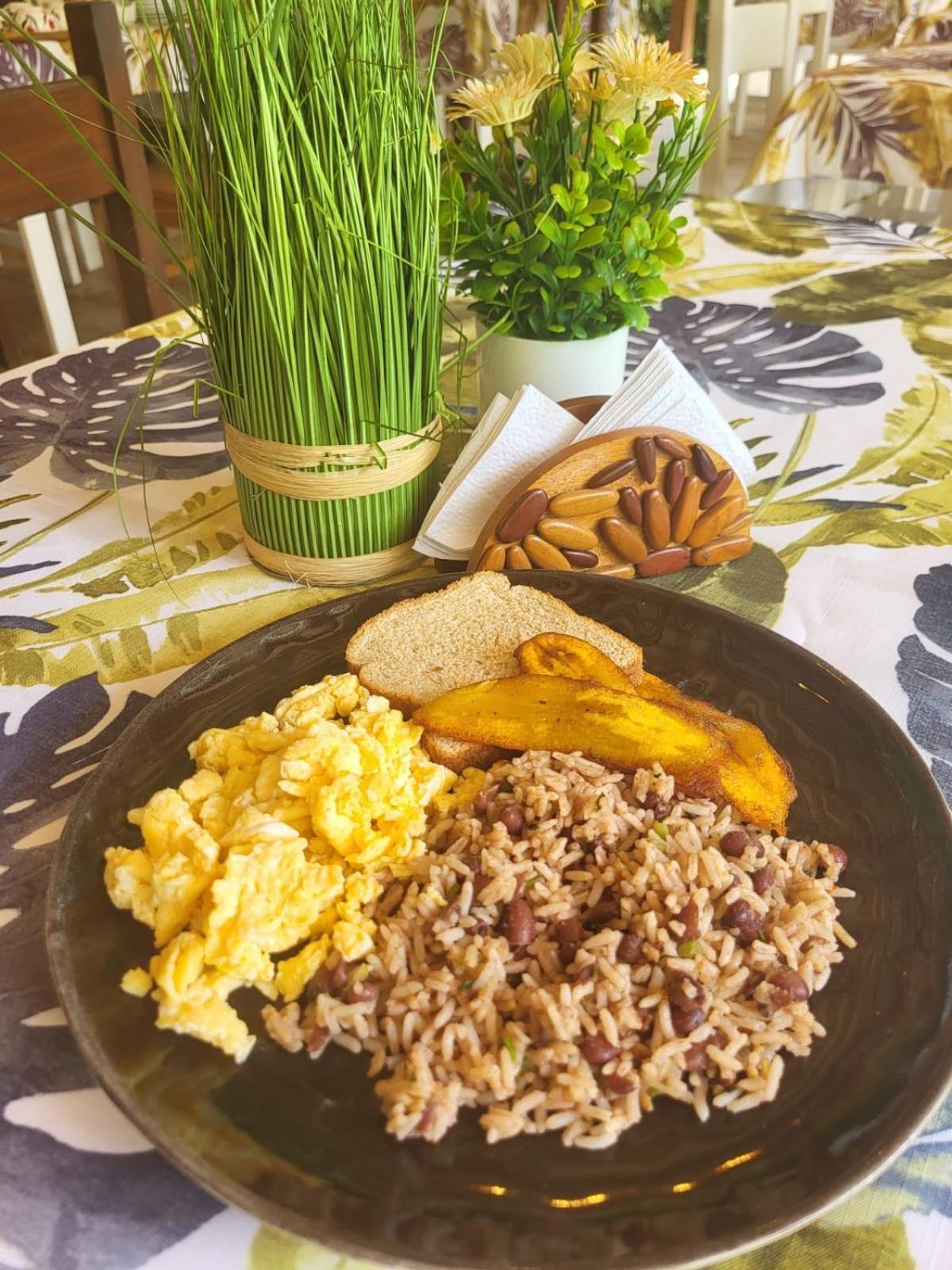 Casa Bohoe Puerto Viejo de Talamanca Eksteriør bilde